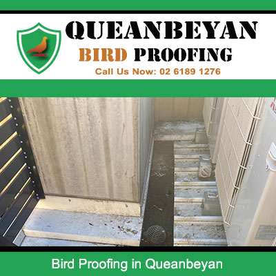 Air conditioning unit with bird droppings needing professional bird proofing service in Queanbeyan
